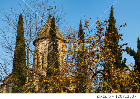 Golden autumn leaves highlighting the historic church tower in Tbilisi, Georgia under a clear blue sky Golden autumn leaves highlighting the historic church tower in Tbilisi, Georgia under a clear blue sky 120712337