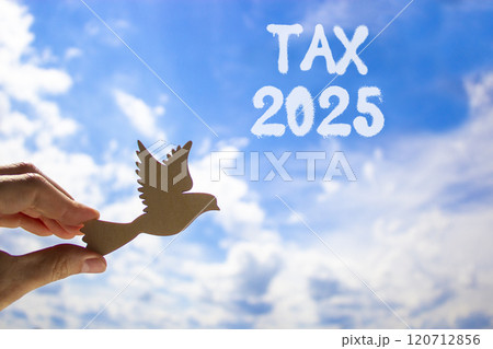 Planning tax 2025 new year symbol. Concept words Tax 2025 on beautiful blue sky. Beautiful blue sky clouds background. Hand holds wooden bird. Business tax 2025 new year concept. Copy space. 120712856