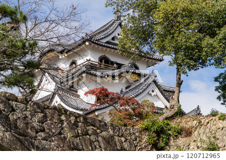 彦根城の景色 120712965