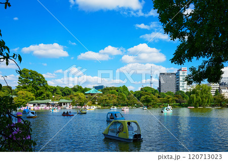 上野の不忍池のレジャーボートと東京スカイツリー 120713023