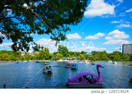 上野の不忍池のレジャーボートと東京スカイツリー 120713024
