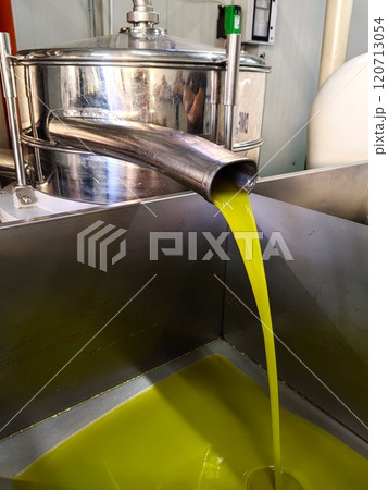 olive oil production. olive oil production. 120713054