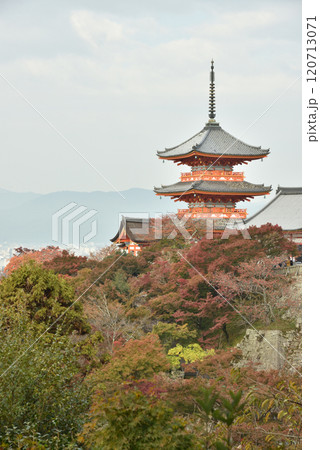 色づきはじめた清水寺 三重塔と京都市街(京都市東山区) 色づきはじめた清水寺 三重塔と京都市街(京都市東山区) 120713071