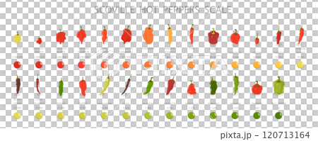 3D Isometric Flat  Illustration of Scoville Hot Peppers Scale, From Sweetest to Very Hot 120713164