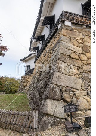 彦根城の石垣の造形美 120713317