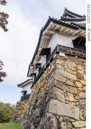 彦根城の石垣の造形美 120713318