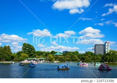 不忍池辯天堂と周囲の景観　ボート池 120713386