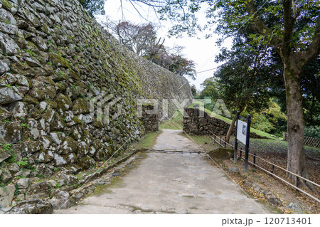 彦根城石垣の造形美 彦根城石垣の造形美 120713401