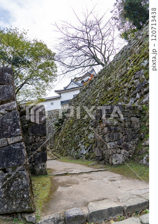 彦根城石垣の造形美 彦根城石垣の造形美 120713438