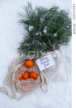 SNOW MUCH FUN quote joke pun greeting card. Ripe tangerines in reusable mesh bag with fir branch and garland outside in snowy winter. Concept of sustainable Christmas celebration, responsibility and SNOW MUCH FUN quote joke pun greeting card. Ripe tangerines in reusable mesh bag with fir branch and garland outside in snowy winter. Concept of sustainable Christmas celebration, responsibility and 120713761