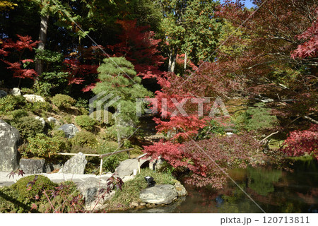 金戒光明寺　方丈北庭　秋季 120713811