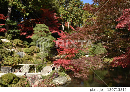 金戒光明寺　方丈北庭　秋季 120713813