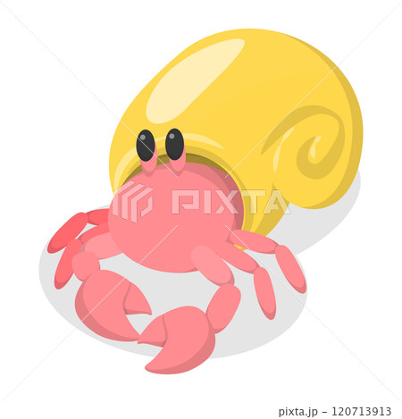 3D Isometric Flat  Illustration of Hermit Crab, Underwater Crustacean Character 120713913