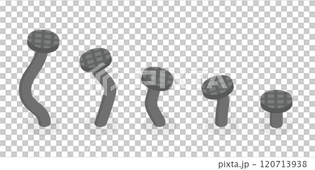 3D Isometric Flat  Illustration of From Beginner to Skilled Expert, Skill Level 120713938