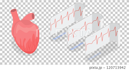 3D Isometric Flat  Illustration of Pathological Heart Rhythm Types, Electro-cardiogram 120713942