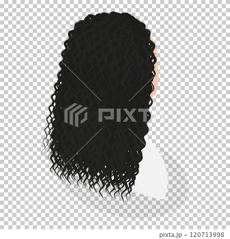 3D Isometric Flat Set of Lady Hairstyles. Item 5 3D Isometric Flat Set of Lady Hairstyles. Item 5 120713998