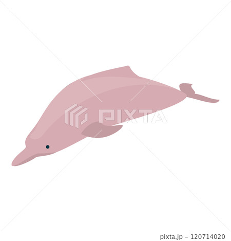 3D Isometric Flat Set of Types Of Dolphins. Item 7 3D Isometric Flat Set of Types Of Dolphins. Item 7 120714020