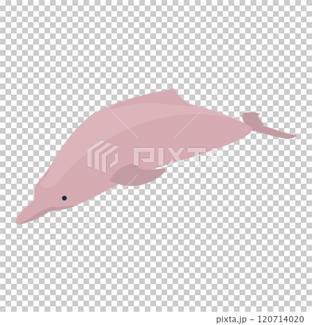 3D Isometric Flat Set of Types Of Dolphins. Item 7 3D Isometric Flat Set of Types Of Dolphins. Item 7 120714020