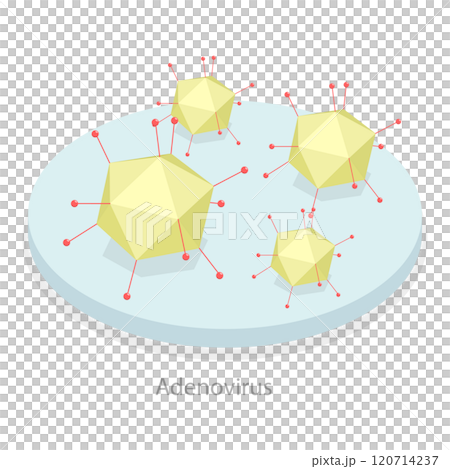 3D Isometric Flat  Illustration of Upper Respiratory Tract Infection. Item 3 120714237