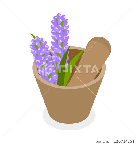 3D Isometric Flat Set of Lavanders Products. Item 2 3D Isometric Flat Set of Lavanders Products. Item 2 120714251