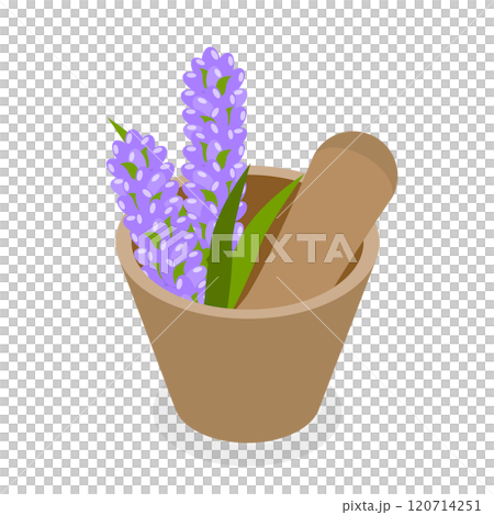 3D Isometric Flat  Set of Lavanders Products. Item 2 120714251
