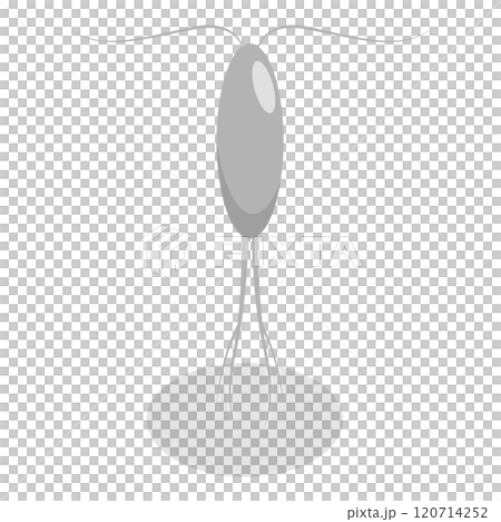 3D Isometric Flat  Set of Varieties Of Plankton. Item 5 120714252