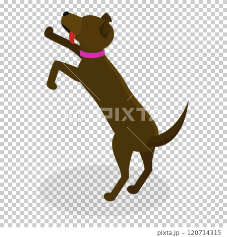 3D Isometric Flat Illustration of Pet Care. Item 8 3D Isometric Flat Illustration of Pet Care. Item 8 120714315