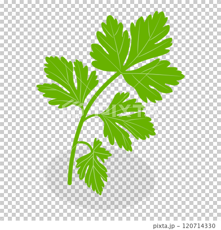 3D Isometric Flat Icon of Cooking Ingredients. Item 4 3D Isometric Flat Icon of Cooking Ingredients. Item 4 120714330