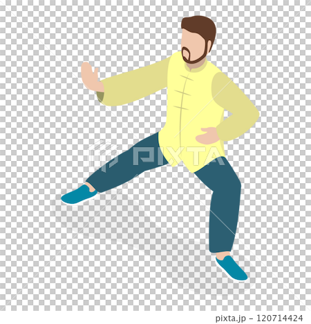 3D Isometric Flat  Set of Tai Chi. Item 1 120714424