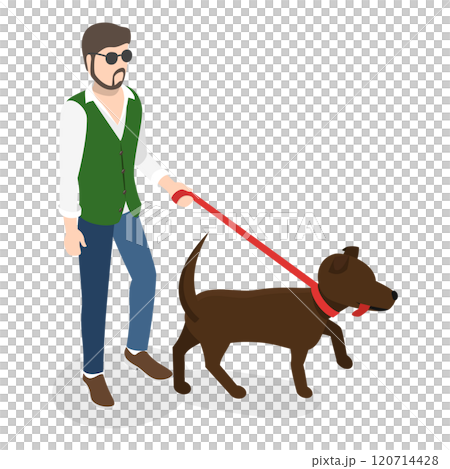 3D Isometric Flat  Illustration of People with Different Types Of Disabilities. Item 6 120714428