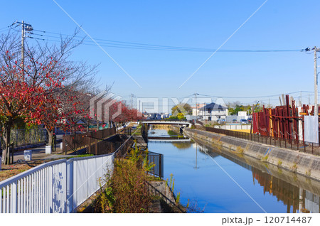 埼玉県三郷市第二大場川2024年11月 120714487