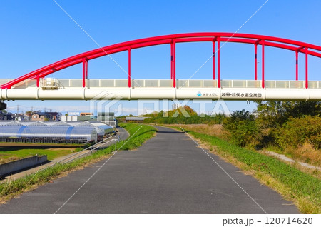 埼玉県越谷市中川サイクリングロード2024年11月 120714620