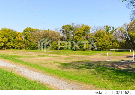 埼玉県草加市柿木運動広場周辺2024年11月 120714629