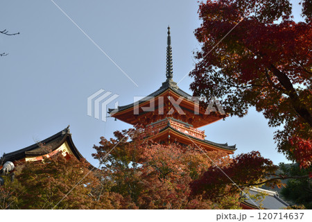 秋の清水寺　三重塔とモミジ(京都市東山区) 120714637