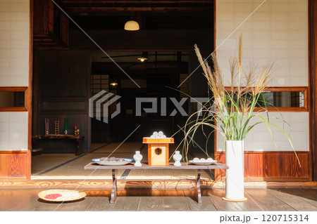 お月見の御供え 120715314