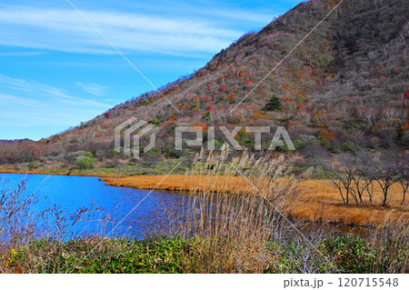 覚満渕 晩秋の紅葉 草もみじ 遊歩道からの眺め 覚満渕 晩秋の紅葉 草もみじ 遊歩道からの眺め 120715548