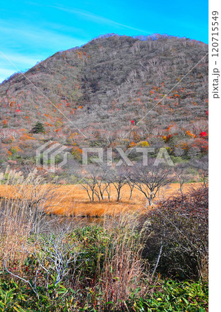 覚満渕 晩秋の紅葉 草もみじ 遊歩道からの眺め 覚満渕 晩秋の紅葉 草もみじ 遊歩道からの眺め 120715549