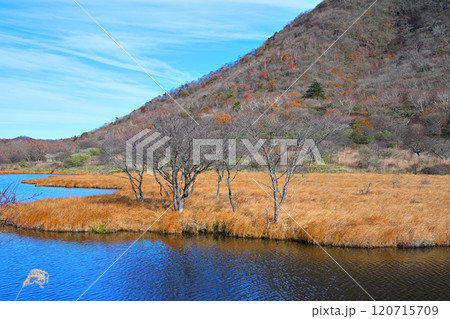覚満渕　晩秋の紅葉　草もみじ　遊歩道からの眺め　 120715709