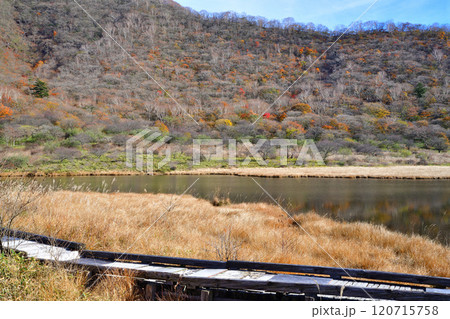 覚満渕 晩秋の紅葉 木道 遊歩道からの眺め  覚満渕 晩秋の紅葉 木道 遊歩道からの眺め  120715758
