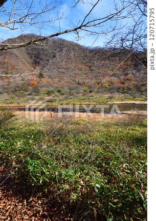 覚満渕　晩秋の紅葉　木道　遊歩道からの眺め　 120715795