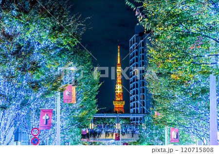 六本木イルミネーション 120715808