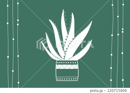 アロエベラのポストカード 120715809