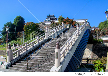 福知山城 120716273