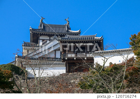 福知山城 120716274