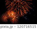 花火 120716515