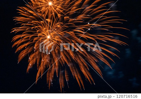 花火 花火 120716516