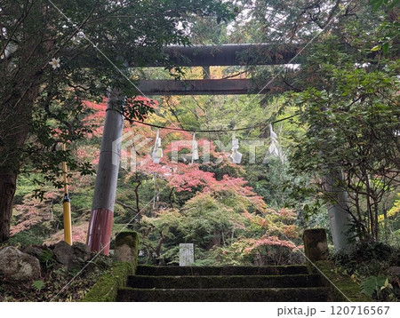 秩父御嶽神社の鳥居 120716567
