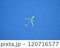 ブルースカイ 120716577