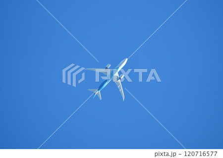 ブルースカイ 120716577