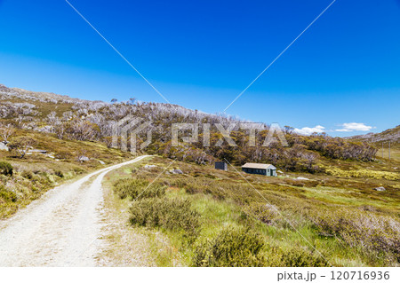 Schlink Hut in Kosciuszko National Park in Australia 120716936